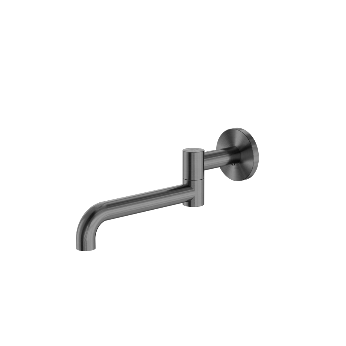 MECCA WALL MOUNTED SWIVEL BASIN/BATH SPOUT 225MM GM (NR221903GGM)