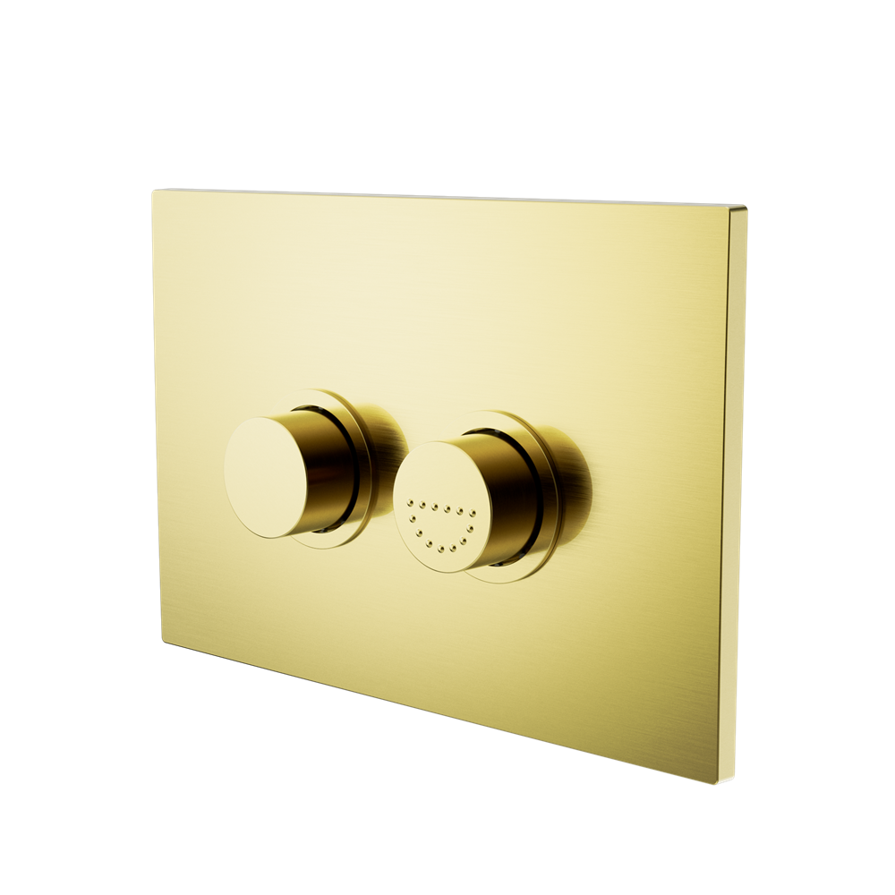 Raised Disabled Care Pneumatic Flush Buttons Plate DDA Compliant Brushed Gold (NRCRPL002BG)