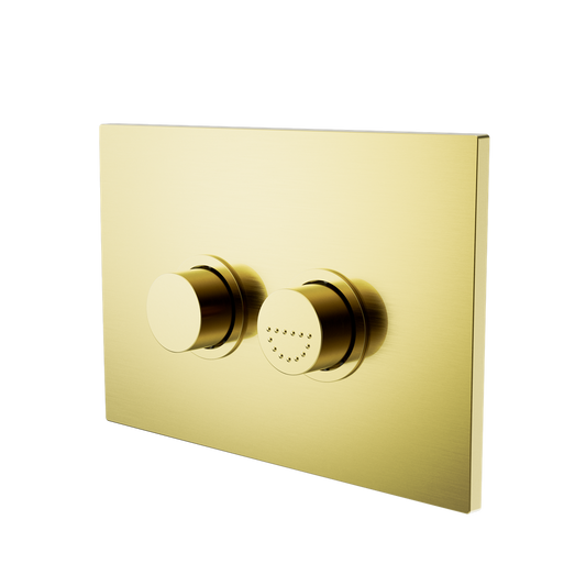 Raised Disabled Care Pneumatic Flush Buttons Plate DDA Compliant Brushed Gold (NRCRPL002BG)